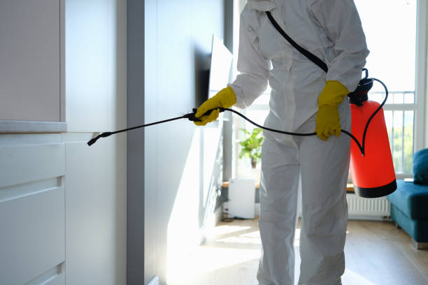 Best Commercial Mold Removal  in Gary, IN