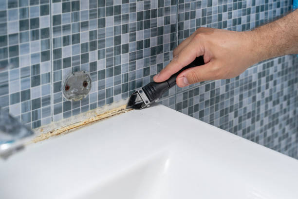 Best Mold Cleaning Services  in Gary, IN