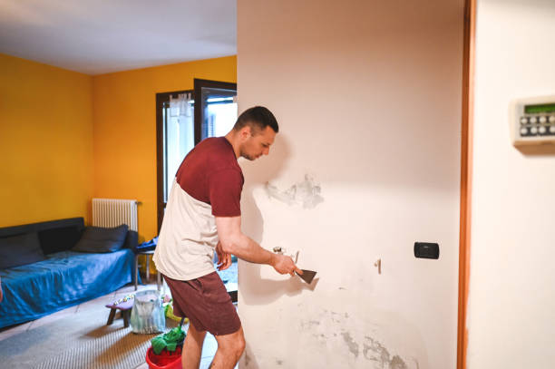 Best Certified Mold Removal  in Gary, IN